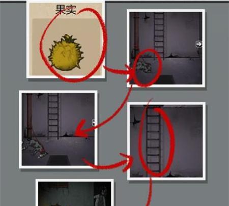《山村老屋4之深林魅影》第四章攻略（探索深林，破解谜团！）