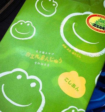 旅行青蛙探索名古屋城图鉴（以游戏为主的城市探险之旅）