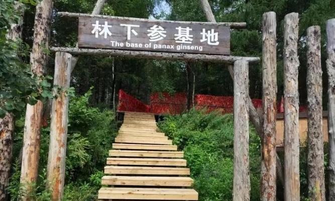 如何利用猫狩纪野外营地获得最佳野外生存体验？（掌握野外生存技巧，深入探索猫狩纪的神秘世界！）