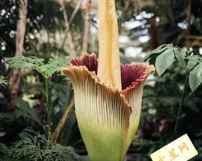 《幻塔泰坦》毒气关闭全攻略（避免中毒，走出幻塔迷宫）