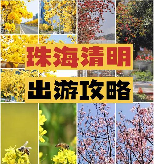 清明技能配置攻略（打造最强战斗阵容，享受畅快战斗体验）