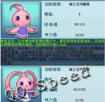 飞车宠物技能升级攻略（驾驶技巧与升级策略，助你赢得每一场比赛）