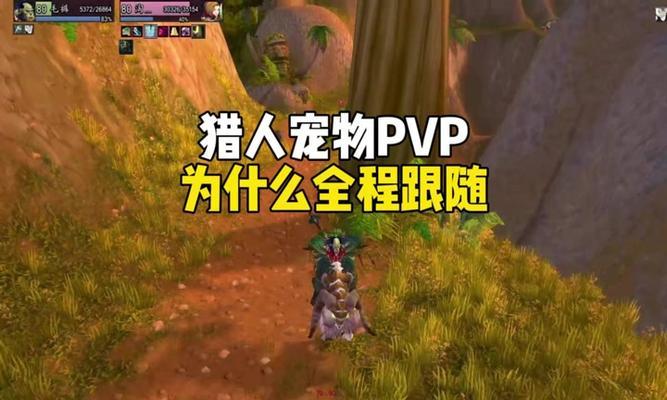掌握9.0版本猎人宝宝技能攻略，打造强力战斗伙伴（9.0版本猎人宝宝技能全面解析，助你战无不胜）