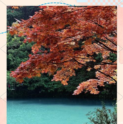《九溪烟树攻略游戏》（探索神秘遗迹，解开九溪烟树的谜团）