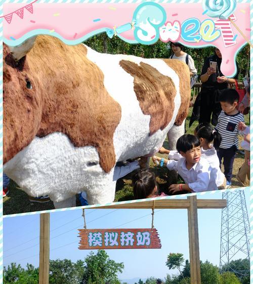 探秘福州奶牛牧场（福州奶牛牧场攻略，带您领略乡村生活的美好）