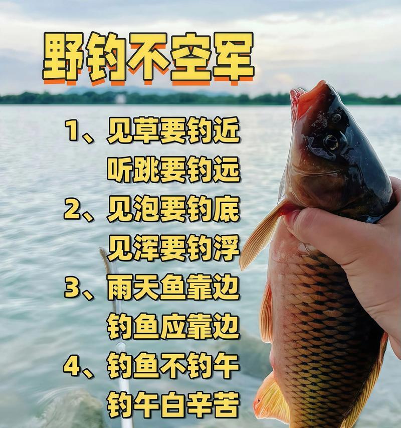 《天天钓鱼小游戏攻略大全》（探索鱼塘的秘密，成为顶级钓手！）