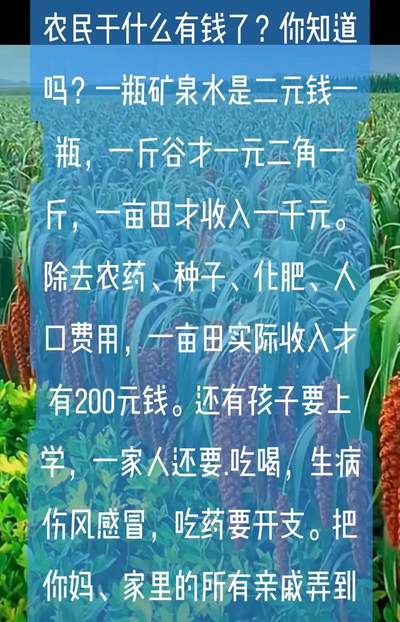 《以最苦的日子》游戏攻略（探索世界，超越自我！）
